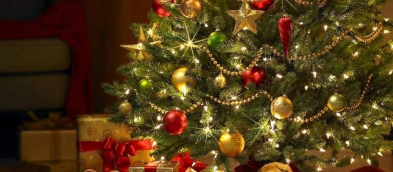 Αυτό είναι το μεγαλύτερο χριστουγεννιάτικο δέντρο σύμφωνα με το ρεκόρ Γκίνες (βίντεο)